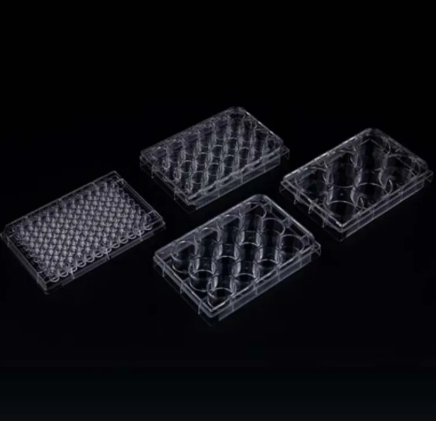 0.1ml 0.2ml 96-Well Polypropylene Half-Skirt PCR Plate